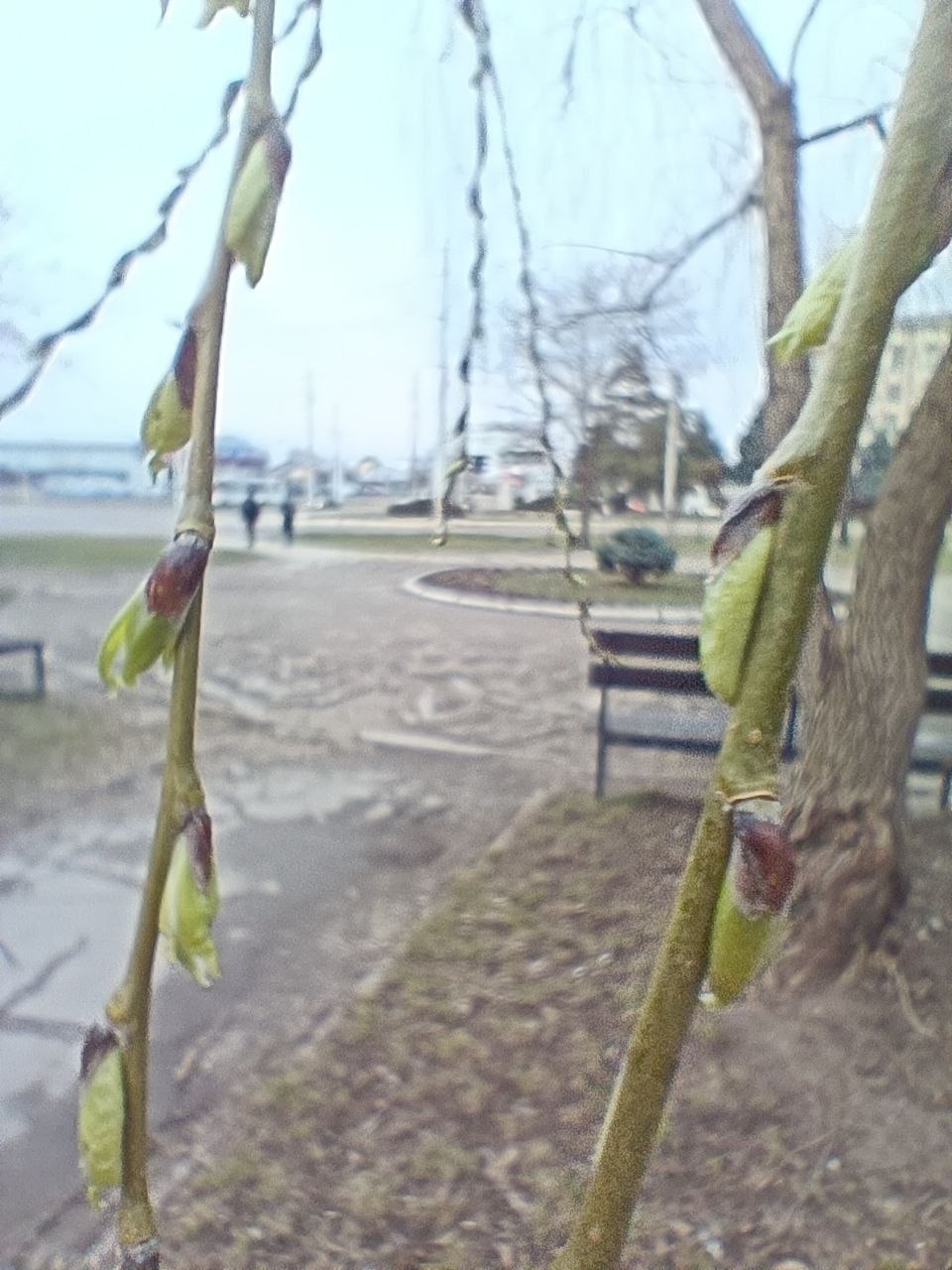 23 марта ожидается облачная с прояснениями погода, без существенных осадков