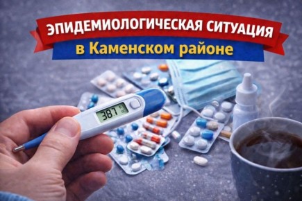 Эпидемиологическая ситуация в Каменском районе