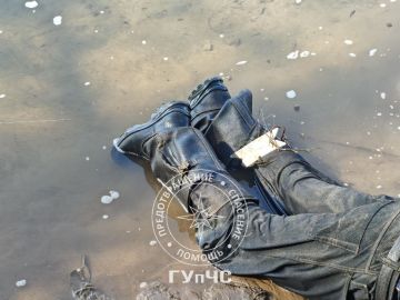 � ������� ������ �����. ���� �������� ������� ���������� ������� � ���� �����������