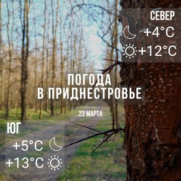 Днём – до +13°С, без существенных осадков