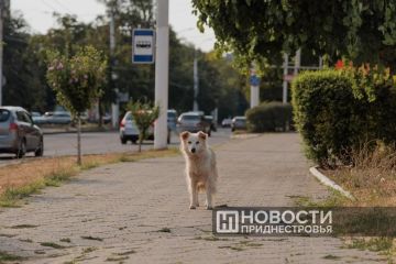 ������������ ��� ������������� ��������� � �������� ����������� �� ������� ������ � ��������� ������