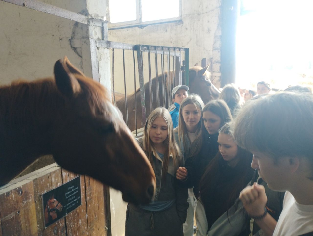 Более 70 школьников побывали на экскурсии в СОБР «Днестр» Более 70 школьников побывали на экскурсии в СОБР «Днестр»