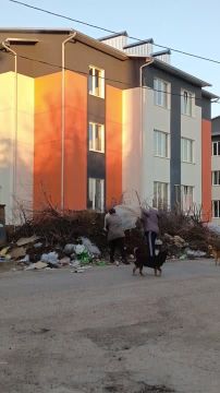 ��� ������� �������� �� ��������� ������ ����� ��� ���� ����-�����