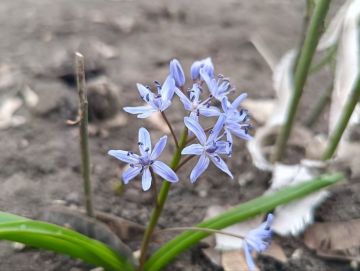 26 марта ожидается переменная облачность, без осадков