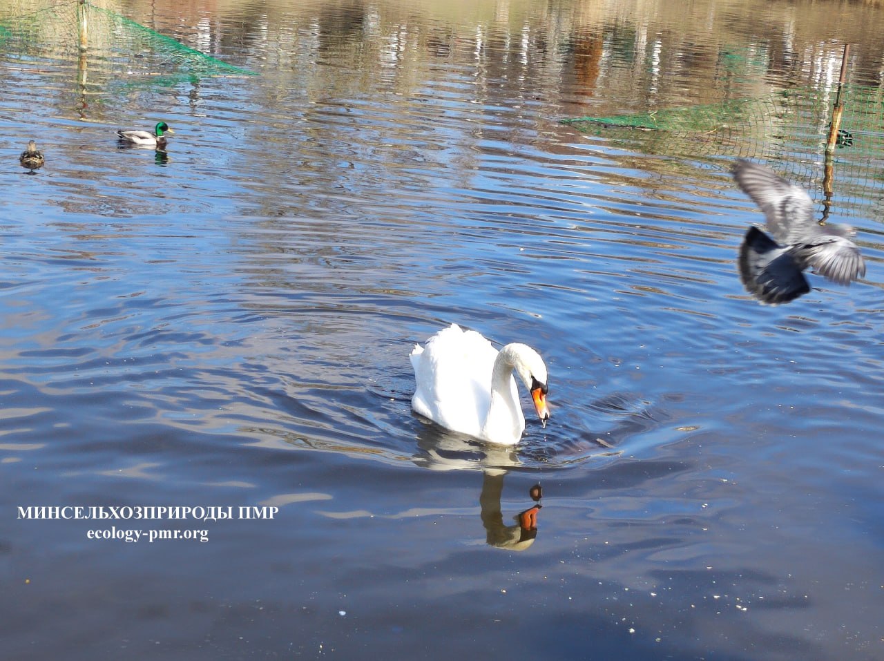 Доброго утра!. Прогноз погоды на сегодня, 26 марта