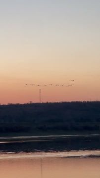 ������, ������� ��������� �������� ���� ����, �������� ������������ �������������