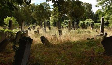 ������, ������� ������ ��������