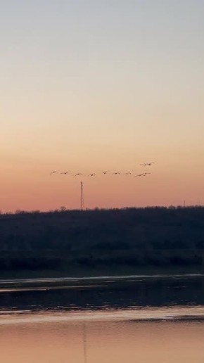 ������, ������� ��������� �������� ���� ����, �������� ������������ �������������