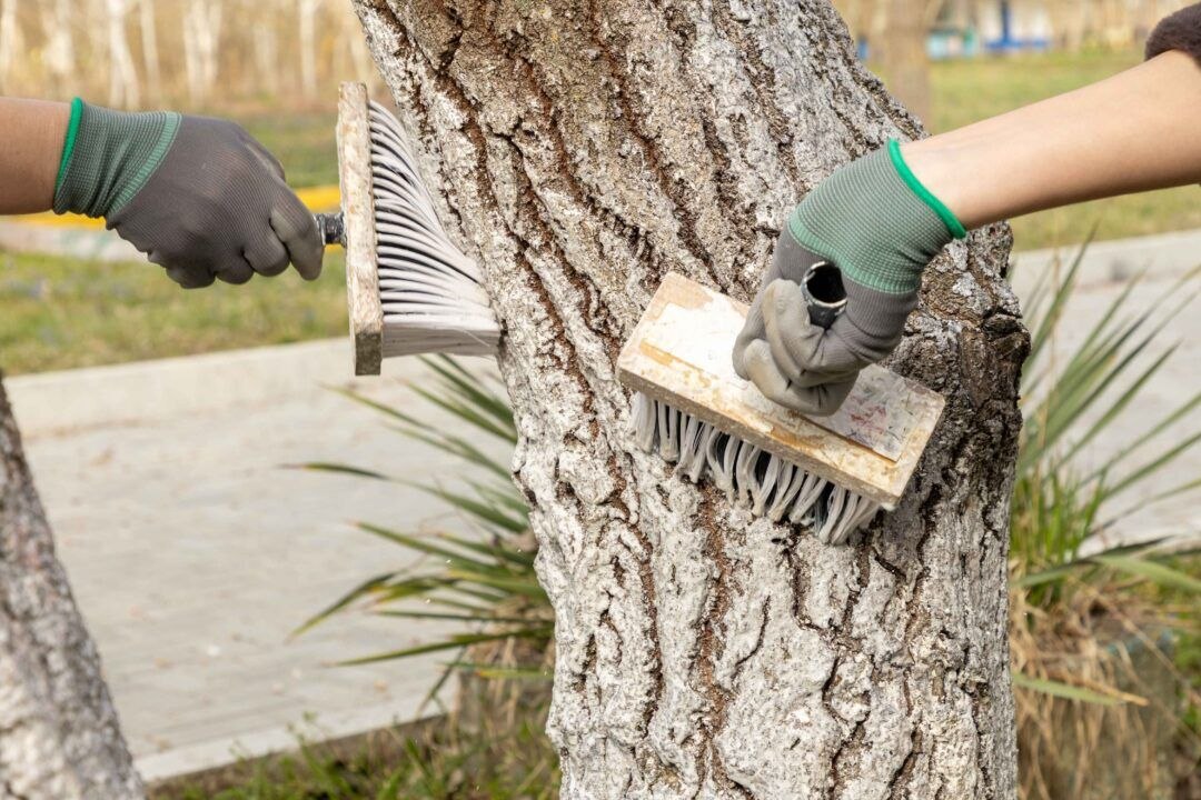 Военнослужащие провели выездной субботник в оздоровительном комплексе «Днестровские зори» Военнослужащие провели выездной субботник в оздоровительном комплексе «Днестровские зори»