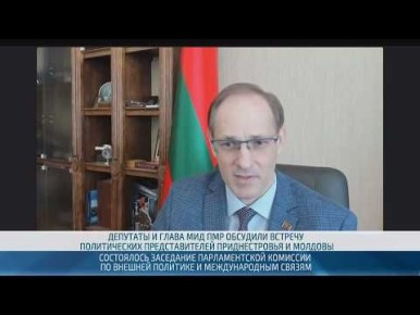 Верховный Совет продолжает работу над законом «Об ответственном обращении с собаками в ПМР»