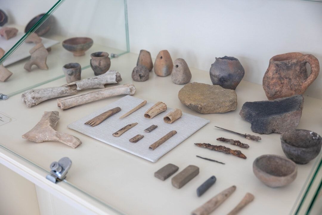 Курсанты Военного института посетили выставочный павильон в Екатерининском парке Курсанты Военного института посетили выставочный павильон в Екатерининском парке