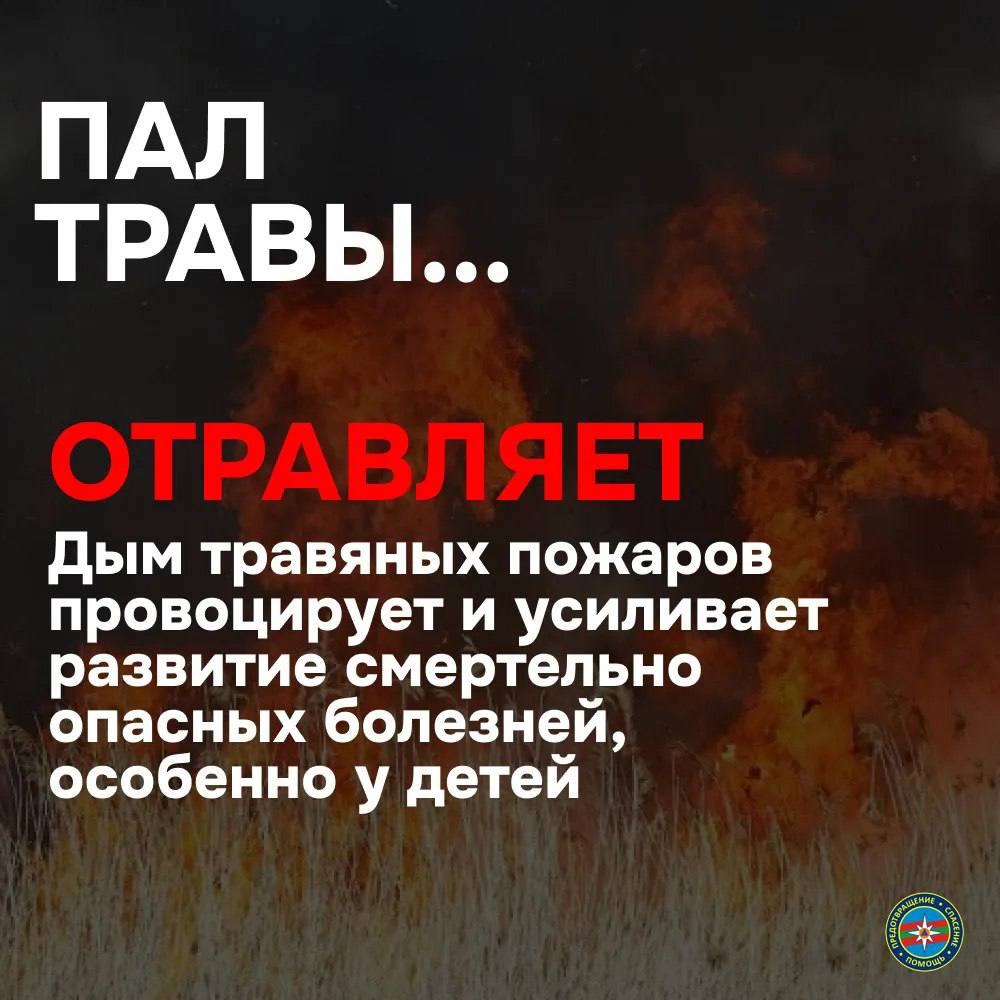 Палы травы неполезны и небезопасны