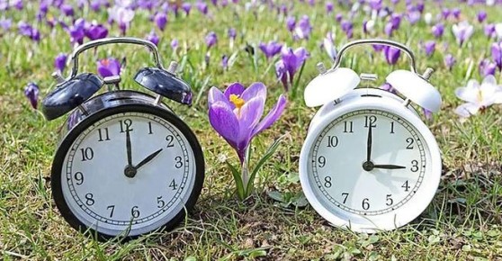 ������������� �������� �� ������ �����