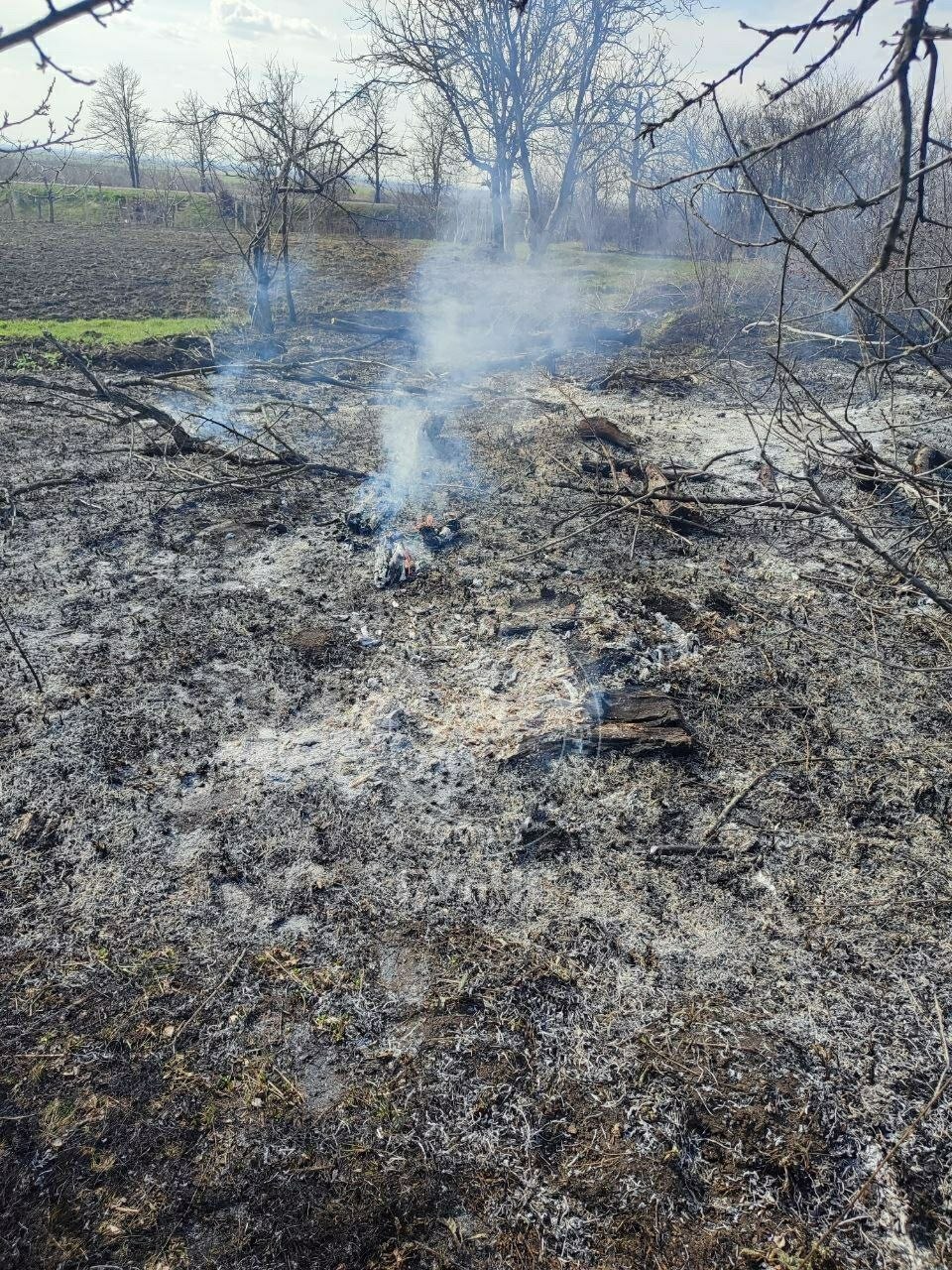 Сгорело 3 гектара сухостоя Сгорело 3 гектара сухостоя