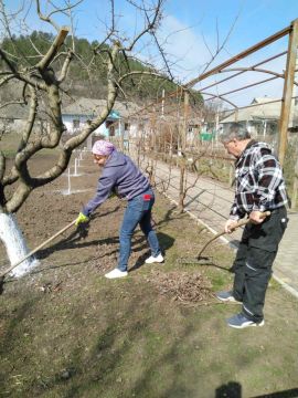 �������� ��������� ���������� ��������� ������������ ������ �������������� � ���������������� ���������� � ������ ���� ����� � ��������������� ������