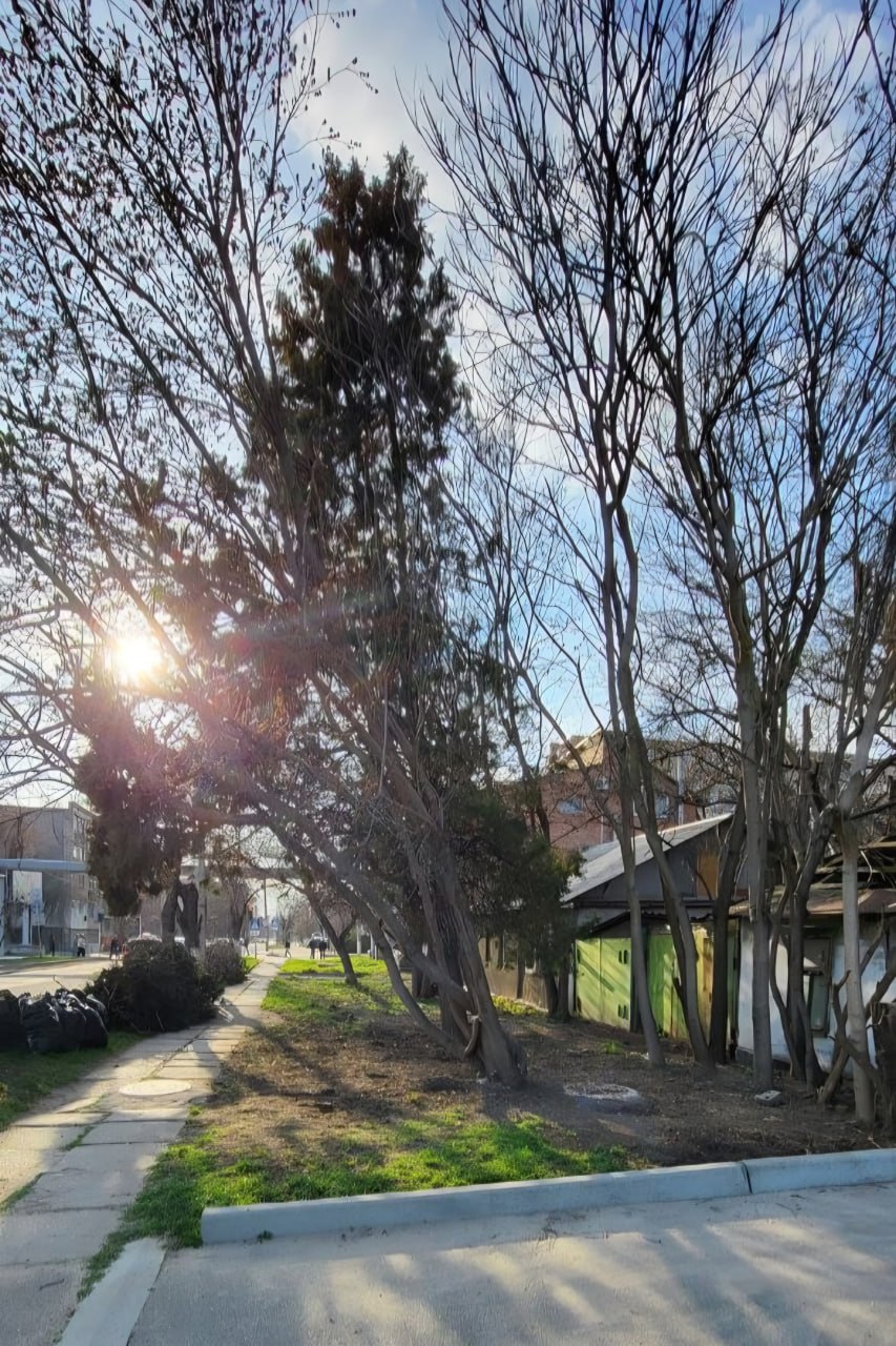 Сотрудники провели комплексные работы по благоустройству территории, прилегающей к зданию министерства по улицам Горького и Восстания Сотрудники провели комплексные работы по благоустройству территории, прилегающей к зданию министерства по улицам Горького и Восстания