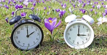 ������������� �������� �� ������ �����