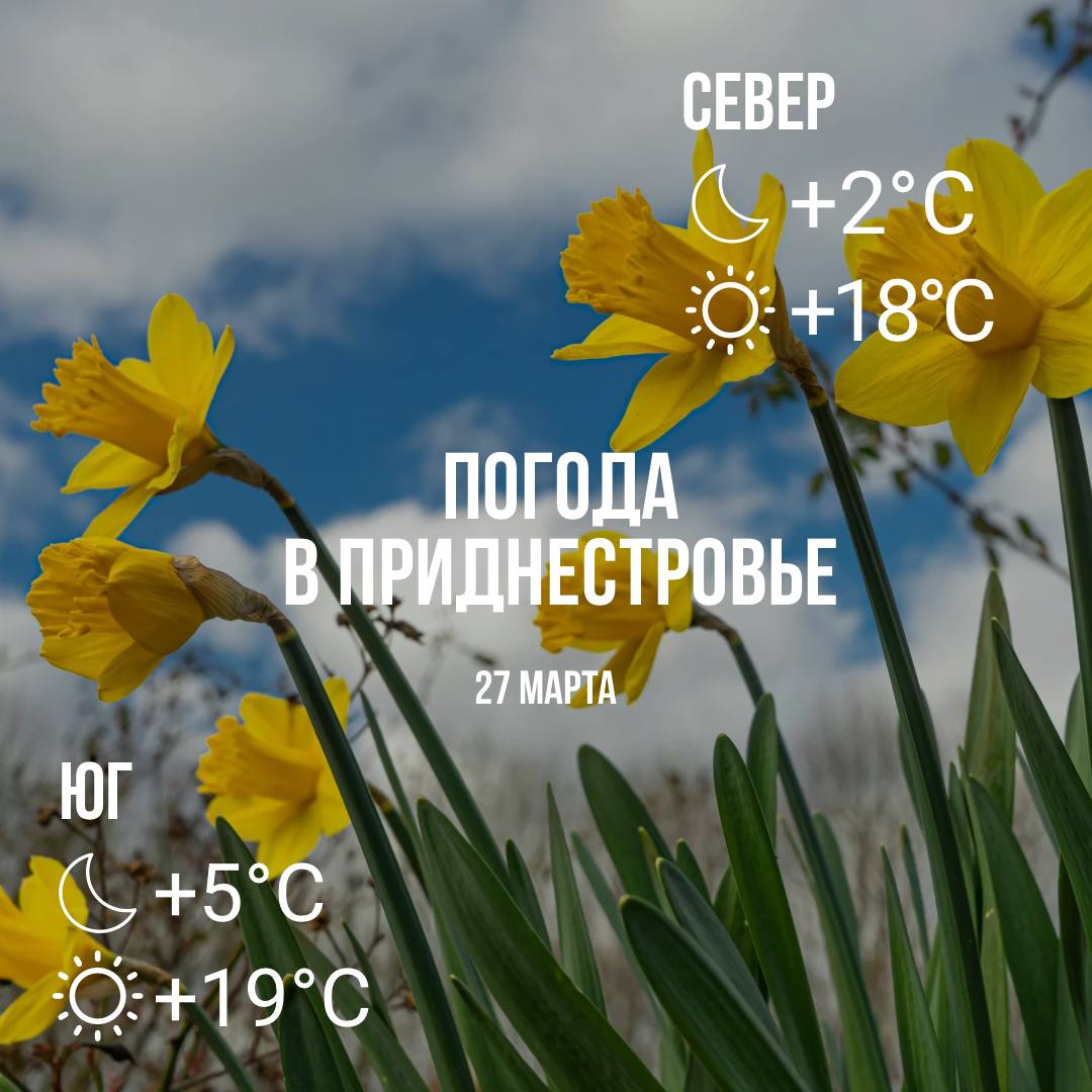 Днём – до +19°С, без осадков