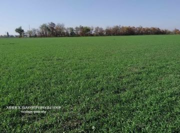 ��������� ������� ������ ������� � ����������� ���������� ���� ������������������