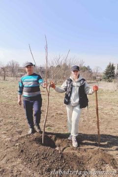 � ����������� �������� ����� ������ ������