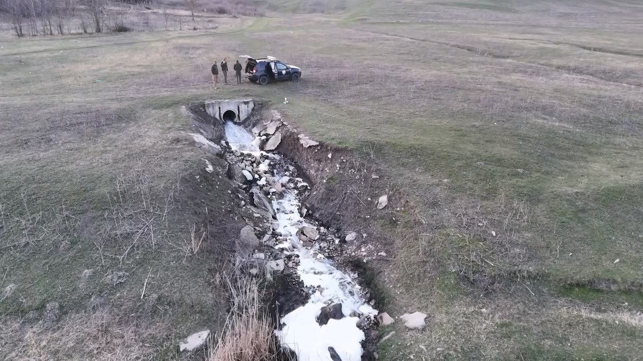 Кишечная палочка, токсичные вещества и превышение нормы аммония в 20 раз Кишечная палочка, токсичные вещества и превышение нормы аммония в 20 раз