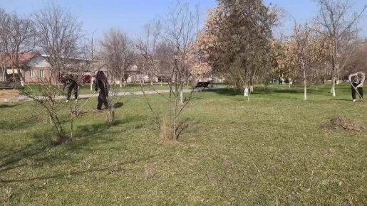 ���������� ���������������� � ������������ �������� ������� �������� �� ���������� �� ����������� ������