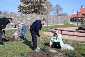Президент Вадим Красносельский с супругой Светланой Красносельской на субботнике посадили дубы в сквере у воскресной школы в Александро-Невском парке в Бендерах — саженцы они вырастили сами