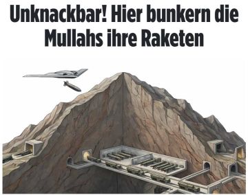 ���� ������ ������ � ������������� ��������, ����� �������� ��������� ����� ������������ �����, � Bild