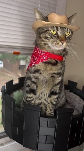 ������ ����� 3D-������� � ��������� � ������ �� ������ ���� �������� ���� � ����� ������: ��������� ��� ������� ����������� �� �������� �����, �������� � ������� ��������