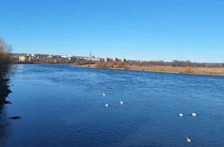 Ядовитый улов: почему рыба из Днестра стала опасной