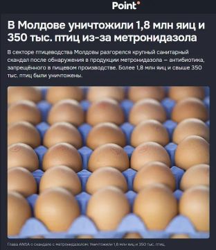 Почти 2 миллиона яиц и 350 тысяч кур уничтожили в Молдове из-за запрещённого антибиотика