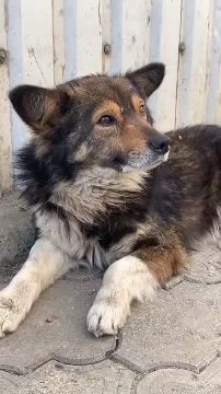 ������ ������ �������� � ���������: ������ ����������, �� ����� ��� ������ �����