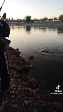 �������� ��� � ���� ������ �� ������