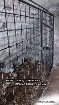 � ���������� �������� ������� ����� �������