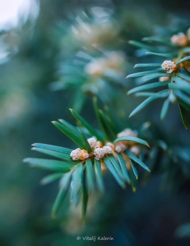 ����� � �������������.. ���� ������� ��������