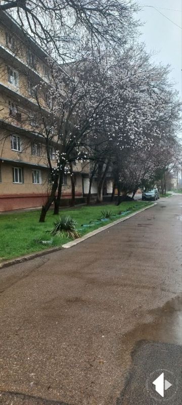 �-� ������������� � ������� � � ����� � � �����