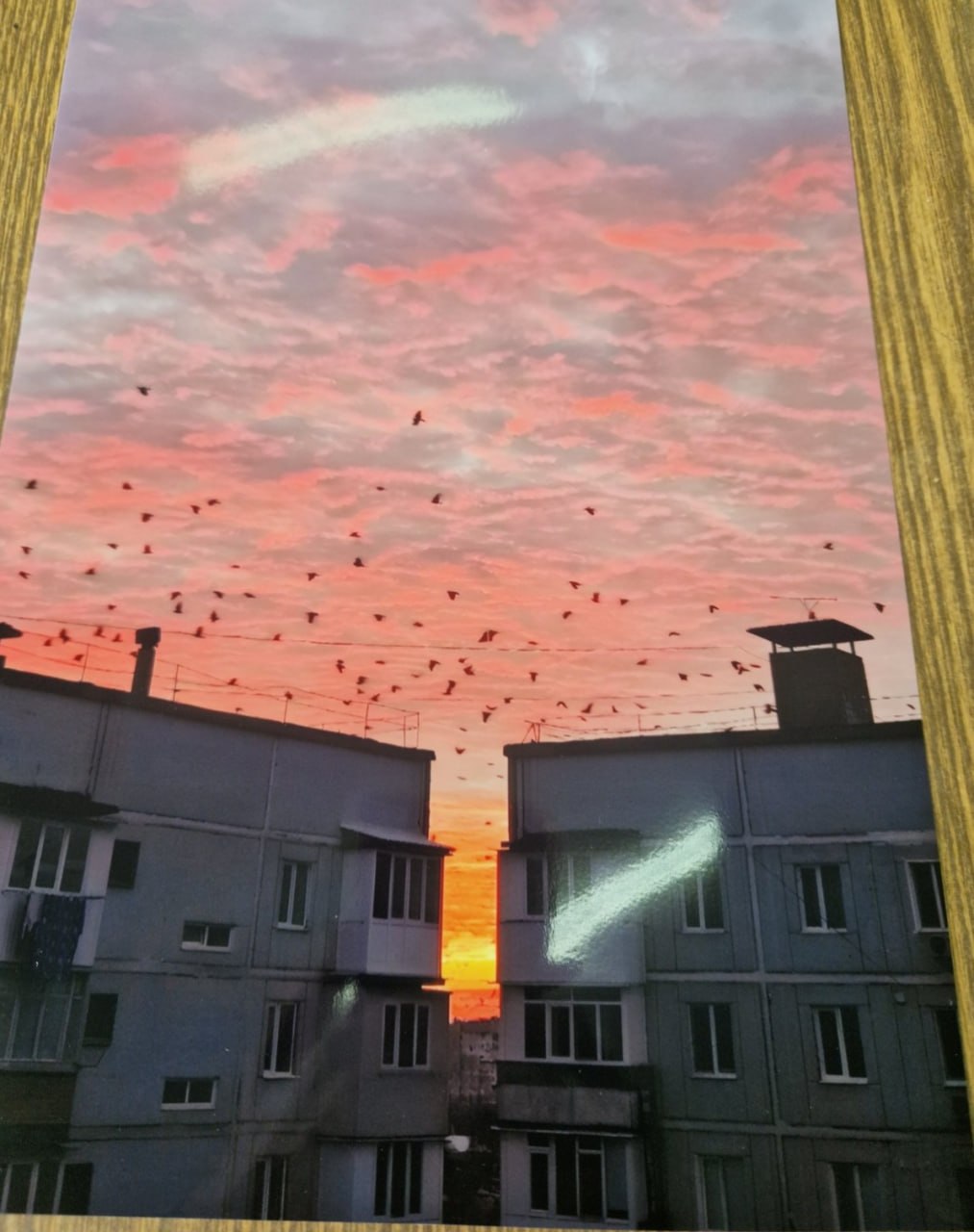 Лицом к лицу с природой. Так называется конкурс фотографий, который состоялся в Тирасполе Лицом к лицу с природой. Так называется конкурс фотографий, который состоялся в Тирасполе