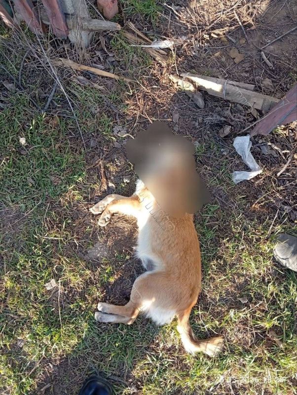 � ��������� ������� ��������� ��������� ������