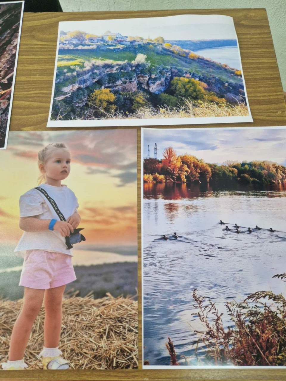 Лицом к лицу с природой. Так называется конкурс фотографий, который состоялся в Тирасполе Лицом к лицу с природой. Так называется конкурс фотографий, который состоялся в Тирасполе