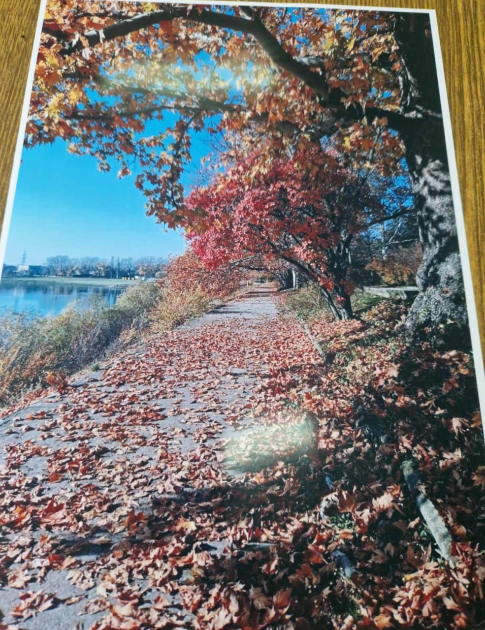 Лицом к лицу с природой. Так называется конкурс фотографий, который состоялся в Тирасполе Лицом к лицу с природой. Так называется конкурс фотографий, который состоялся в Тирасполе