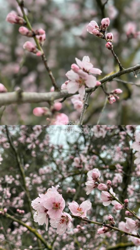 ��� ����� ������� � �����������