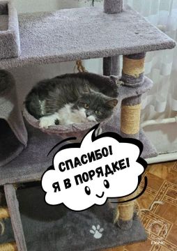 #���������� � ����. ����� �����, ������� ������ � �������� �� ������