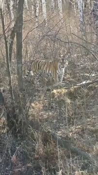 � ����������� ���� �������������� ��������� ��������� �����