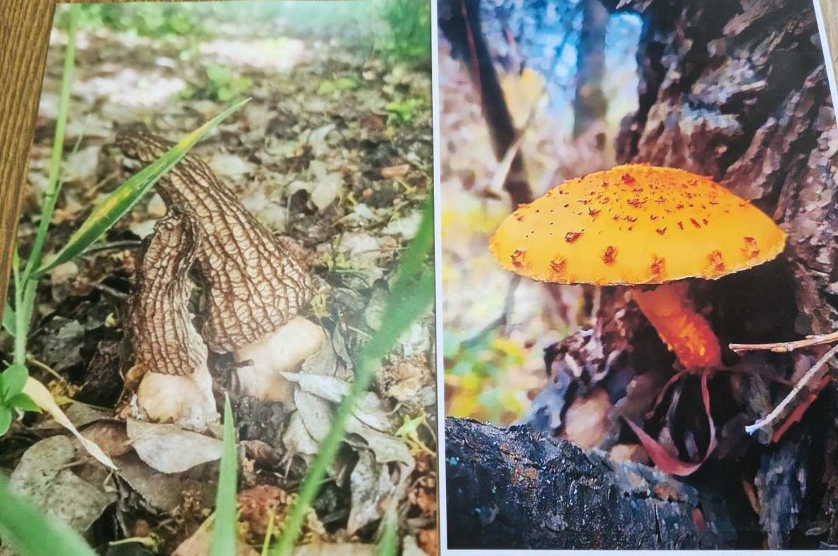 Традиционно в составе жюри конкурса представители Управления сельского хозяйства и природных ресурсов по г. Тирасполь и г. Днестровск Минсельхозприроды ПМР, которые на протяжении многих лет сотрудничают с экоцентром Традиционно в составе жюри конкурса представители Управления сельского хозяйства и природных ресурсов по г. Тирасполь и г. Днестровск Минсельхозприроды ПМР, которые на протяжении многих лет сотрудничают с экоцентром