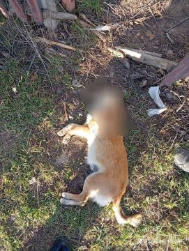 � ��������� ������� ��������� ��������� ������