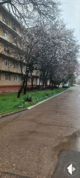 �-� ������������� � ������� � � ����� � � �����