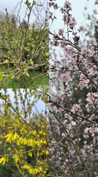 ������������ ��� � ��������� ��� ������ ��� �����������