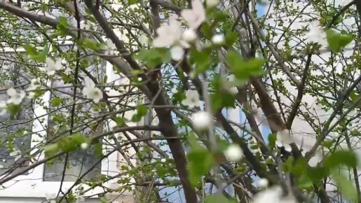 3 ������ ��������� �������� � ������������ ������, ������� ��������������� �����