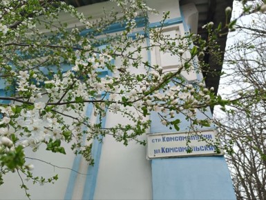 ��������� ����� �����.. �������� �� ��������� ������, ������������ ������ �����, ����� ����������� �������� �����������