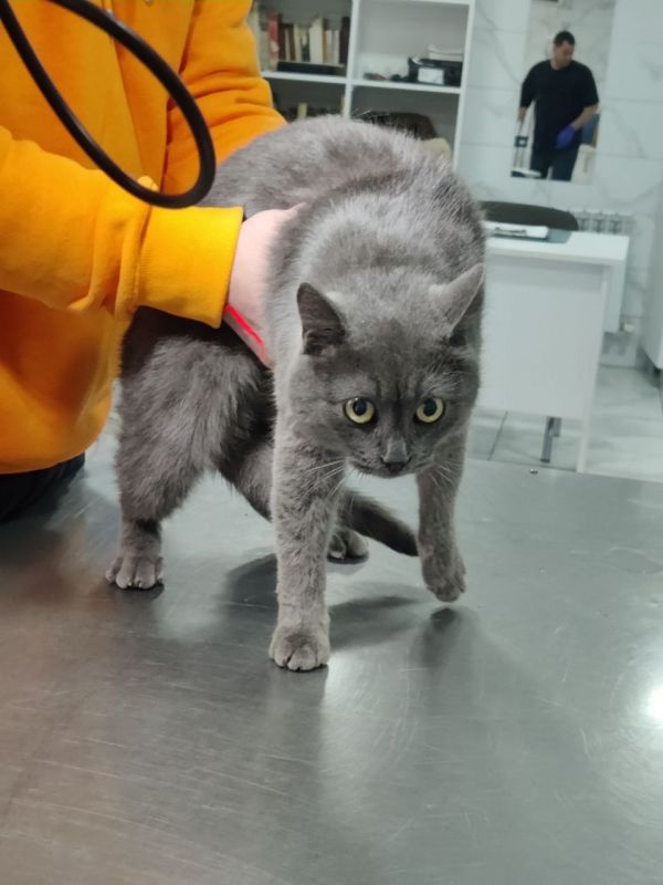 � 1 ������ � ���������� ��������� �������� �� ������������ ���������